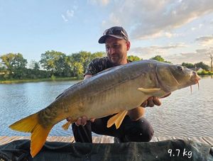 Mirror Carp