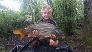 Common Carp