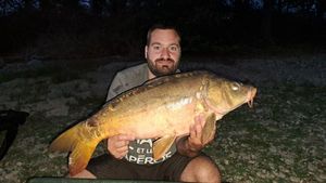 Mirror Carp