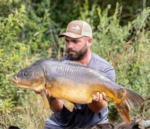 Mirror Carp