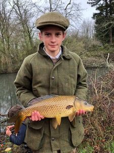 Common Carp