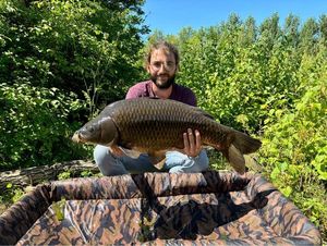 Common Carp