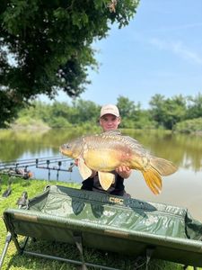 Mirror Carp