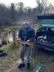 Northern Pike