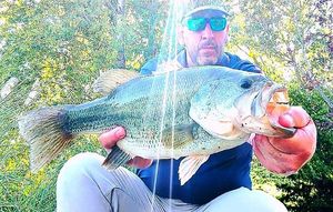 Largemouth Bass