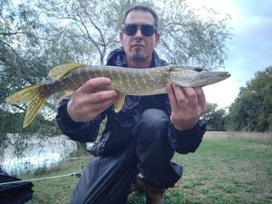 Northern Pike