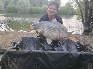 Common Carp
