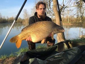 Common Carp