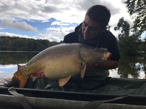 Mirror Carp