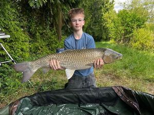 Grass Carp