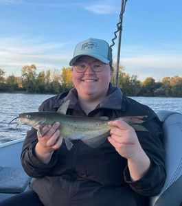 Channel Catfish