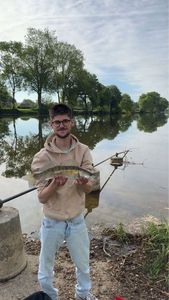 Zander