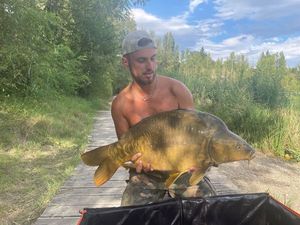 Mirror Carp