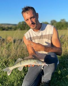 Zander