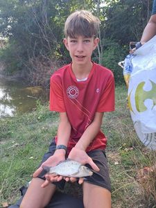 Prussian Carp