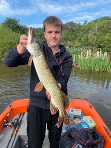 Northern Pike