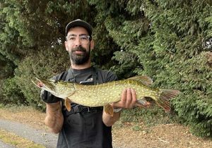 Northern Pike