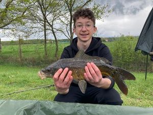 Mirror Carp