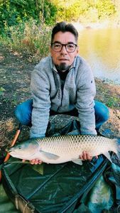 Silver Carp