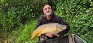 Mirror Carp