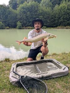 Lake Sturgeon