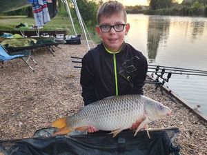 Common Carp