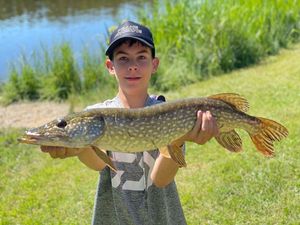 Northern Pike