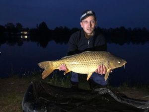 Common Carp