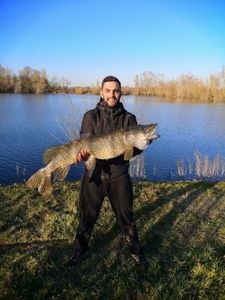 Northern Pike