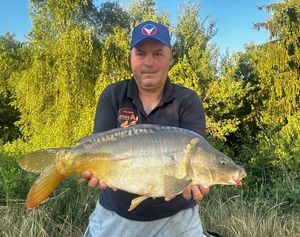 Mirror Carp