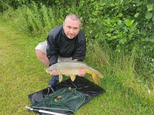 Mirror Carp