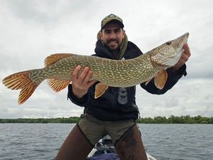 Northern Pike