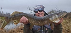Northern Pike
