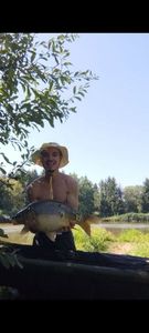Mirror Carp