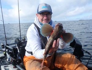 Red Gurnard