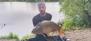 Common Carp