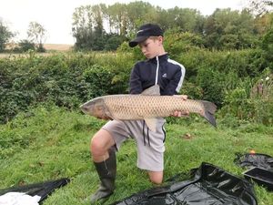 Grass Carp