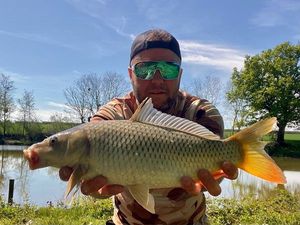 Common Carp