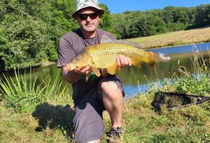 Common Carp