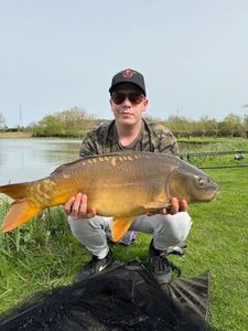 Mirror Carp