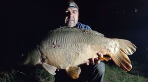Mirror Carp