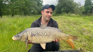 Common Carp