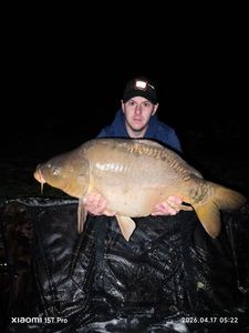 Mirror Carp