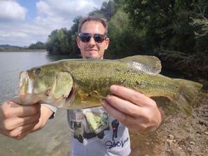 Largemouth Bass