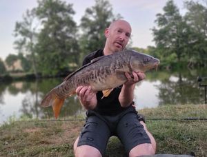 Mirror Carp