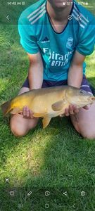 Carpes