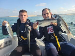 Spotted Seabass