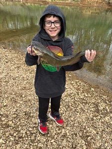 Channel Catfish