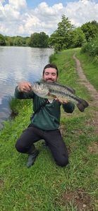 Largemouth Bass