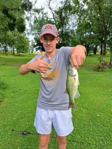 Smallmouth Bass